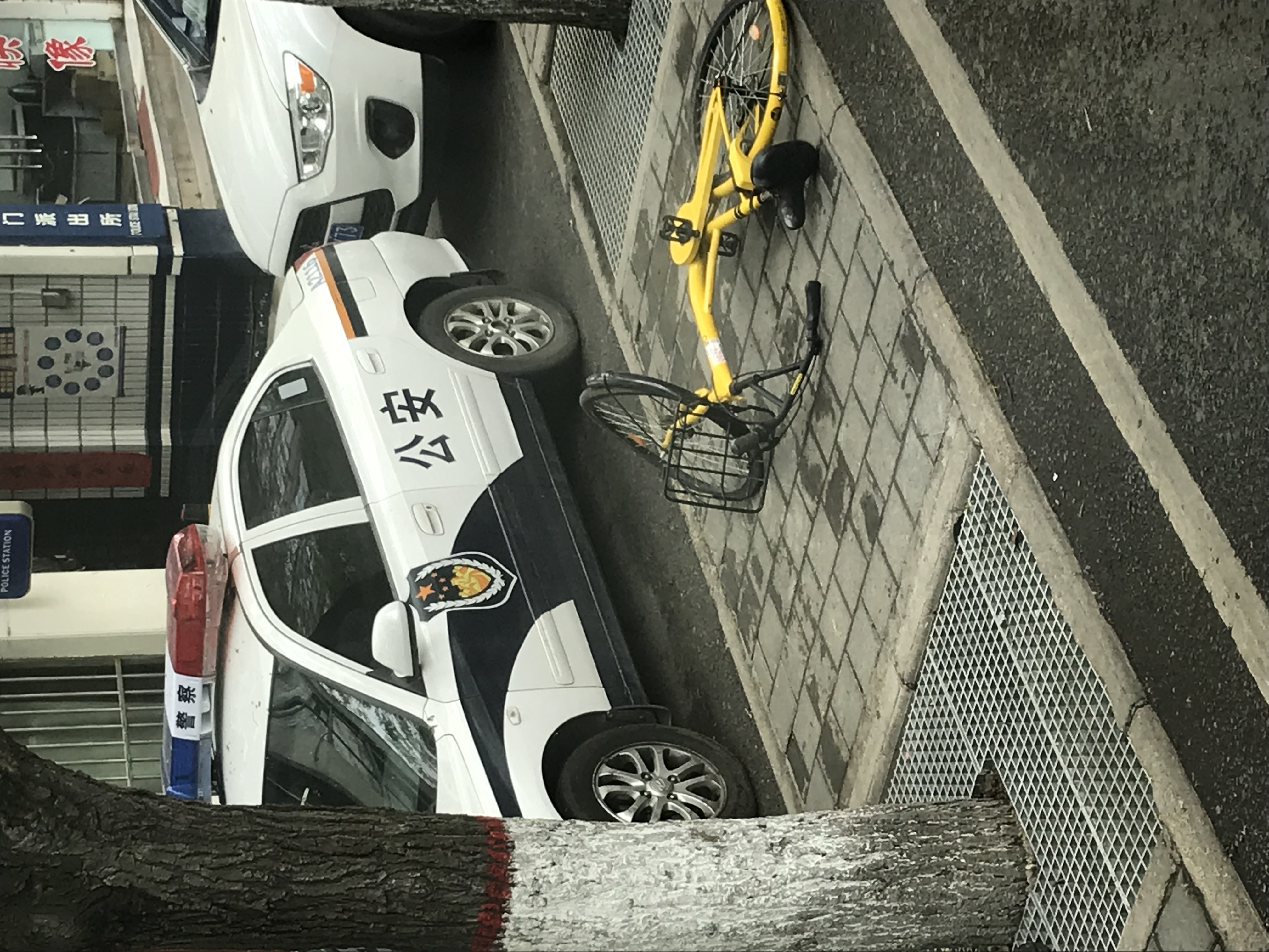 ./2018/03 - Viking China/11 - Xian/IMG_6494.JPG